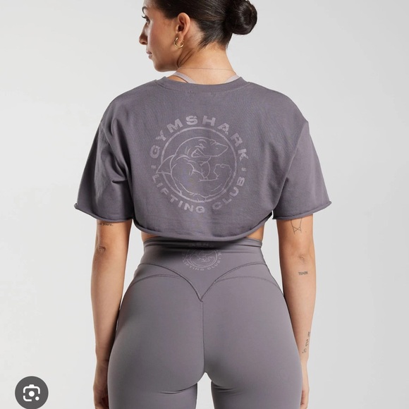 Gymshark Tops - Gymshark Cropped Short Sleeve Tee in Dusty Gray